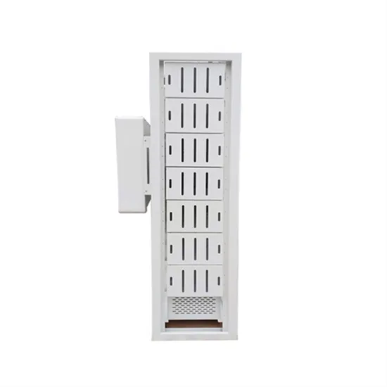 Niger centralized solar energy storage enterprise-2